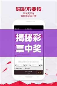 揭秘彩票中奖秘诀，最新中奖指南助你轻松赢大奖！