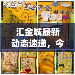 汇金城最新动态速递，今日头条重磅消息！
