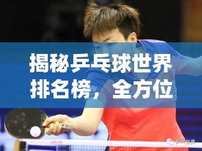 揭秘乒乓球世界排名榜，全方位查看攻略！
