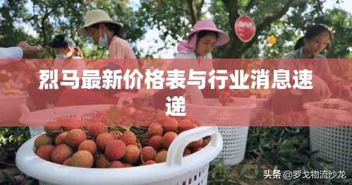 烈马最新价格表与行业消息速递
