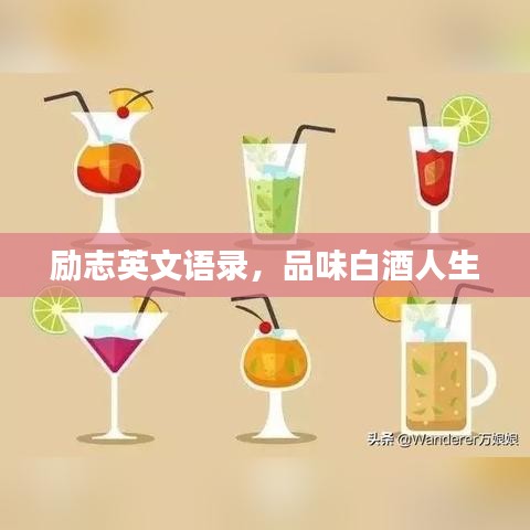 励志英文语录，品味白酒人生