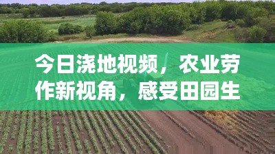 今日浇地视频，农业劳作新视角，感受田园生活的魅力！