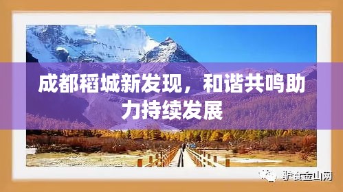 成都稻城新发现，和谐共鸣助力持续发展