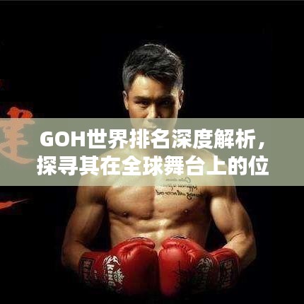 GOH世界排名深度解析，探寻其在全球舞台上的位置