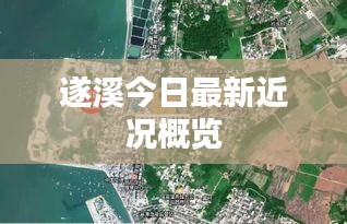 遂溪今日最新近况概览