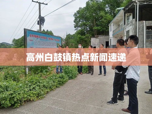 高州白鼓镇热点新闻速递