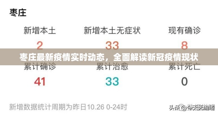 枣庄最新疫情实时动态，全面解读新冠疫情现状