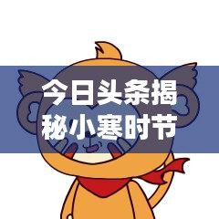 今日头条揭秘小寒时节最新动态