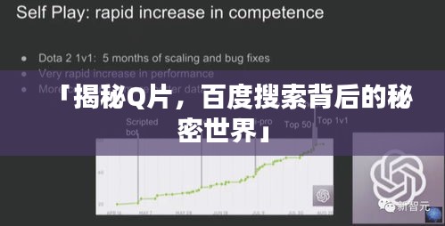 「揭秘Q片，百度搜索背后的秘密世界」