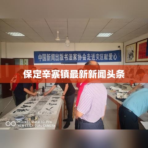 保定辛寨镇最新新闻头条