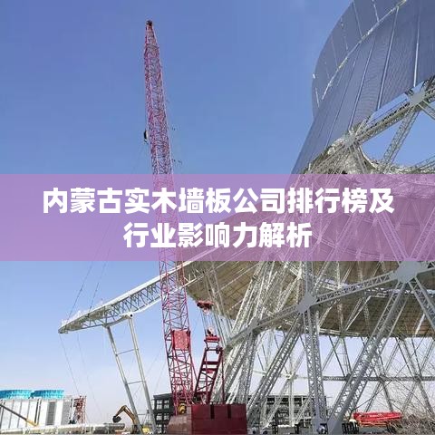 内蒙古实木墙板公司排行榜及行业影响力解析