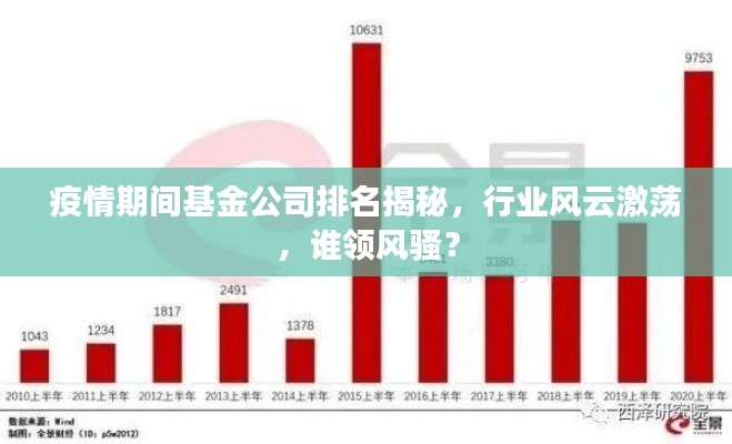 疫情期间基金公司排名揭秘，行业风云激荡，谁领风骚？