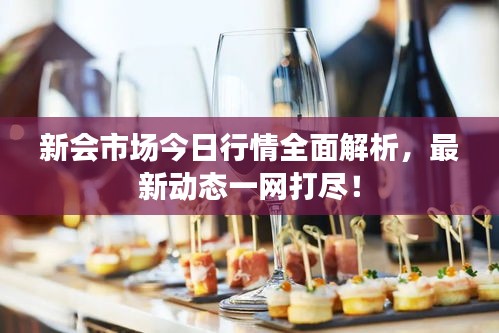 新会市场今日行情全面解析，最新动态一网打尽！