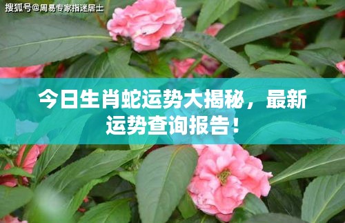 今日生肖蛇运势大揭秘，最新运势查询报告！