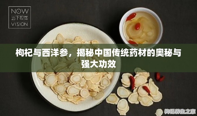 枸杞与西洋参，揭秘中国传统药材的奥秘与强大功效