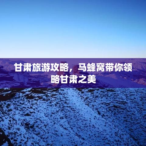 投诉与建议 第16页