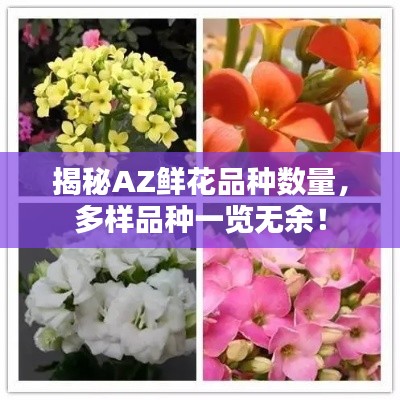 揭秘AZ鲜花品种数量，多样品种一览无余！