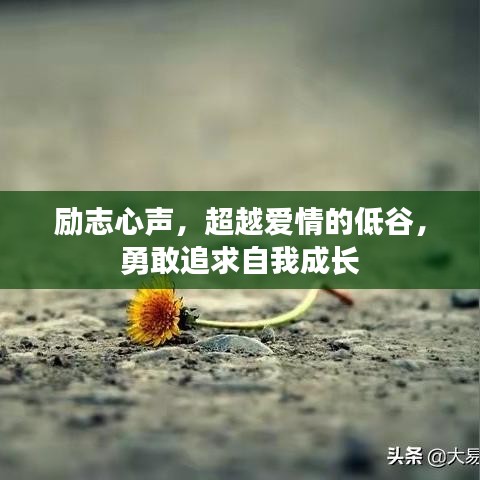 励志心声，超越爱情的低谷，勇敢追求自我成长