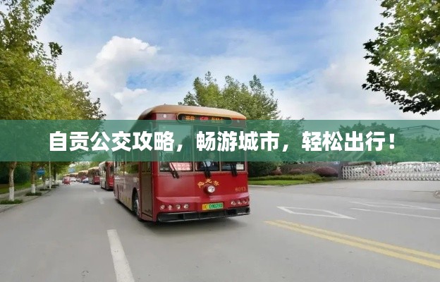 自贡公交攻略，畅游城市，轻松出行！