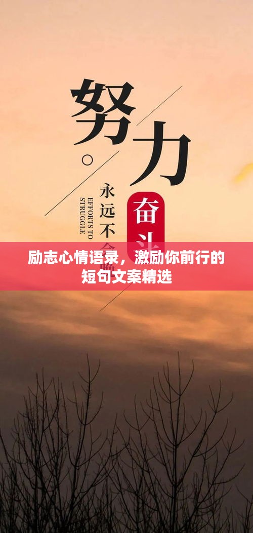 励志心情语录，激励你前行的短句文案精选