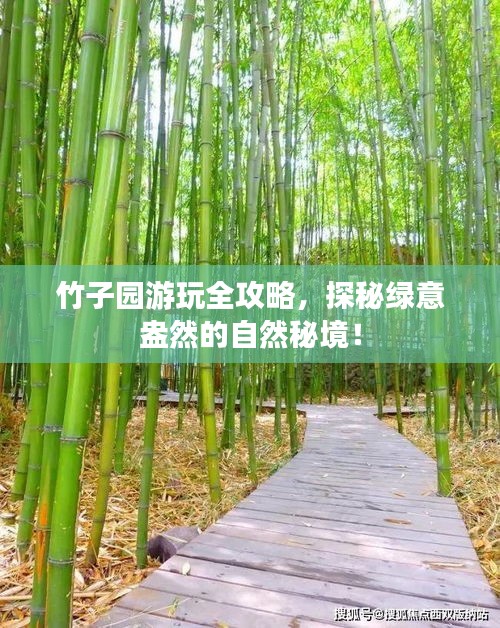 竹子园游玩全攻略，探秘绿意盎然的自然秘境！