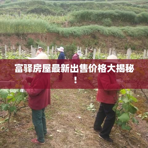 富驿房屋最新出售价格大揭秘！