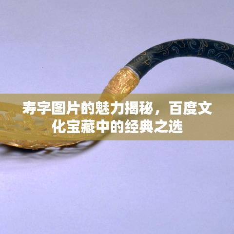 寿字图片的魅力揭秘，百度文化宝藏中的经典之选