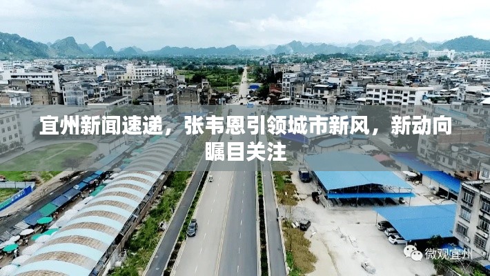 宜州新闻速递，张韦恩引领城市新风，新动向瞩目关注