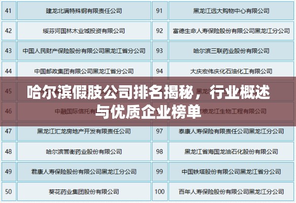 哈尔滨假肢公司排名揭秘，行业概述与优质企业榜单