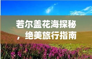 若尔盖花海探秘，绝美旅行指南
