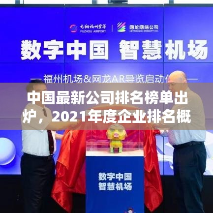 中国最新公司排名榜单出炉，2021年度企业排名概览