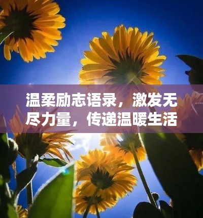 温柔励志语录，激发无尽力量，传递温暖生活之光