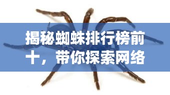 购物流程 第13页