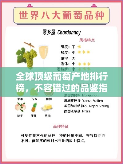 全球顶级葡萄产地排行榜，不容错过的品鉴指南！