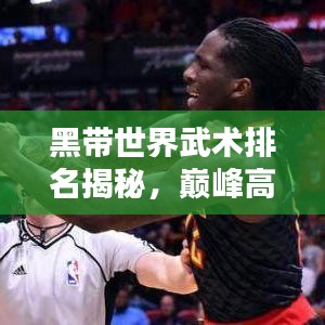 黑带世界武术排名揭秘，巅峰高手大揭秘！