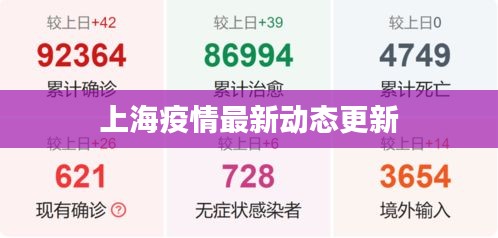 飞来飞去