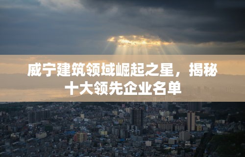 投诉与建议 第13页