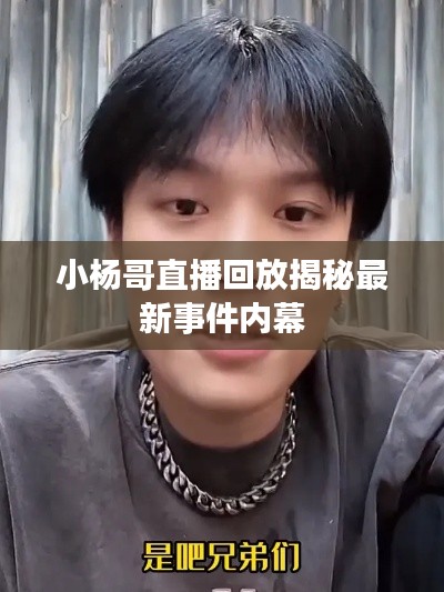 小杨哥直播回放揭秘最新事件内幕