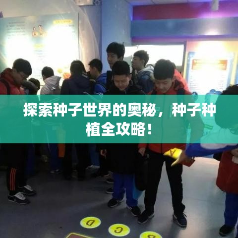 探索种子世界的奥秘，种子种植全攻略！