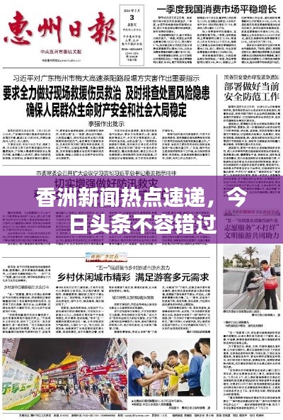 香洲新闻热点速递，今日头条不容错过