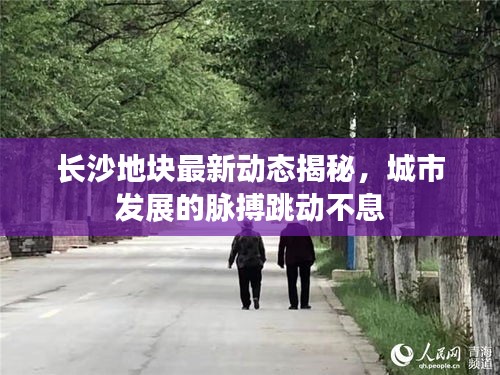 购物流程 第12页