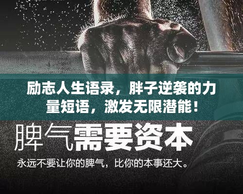 励志人生语录，胖子逆袭的力量短语，激发无限潜能！