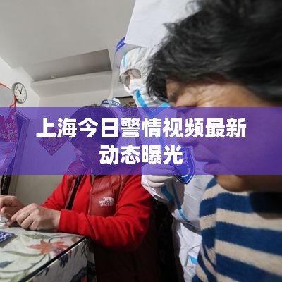 上海今日警情视频最新动态曝光