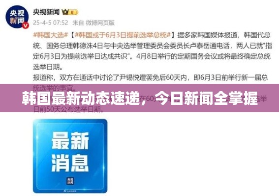 韩国最新动态速递，今日新闻全掌握