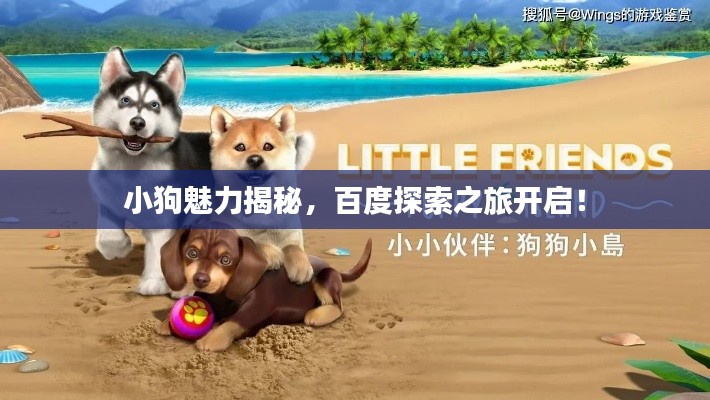 小狗魅力揭秘，百度探索之旅开启！