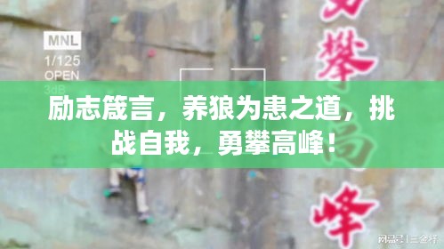 励志箴言，养狼为患之道，挑战自我，勇攀高峰！