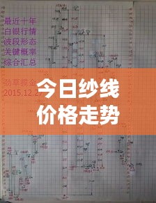 今日纱线价格走势深度解析，最新动态与趋势预测
