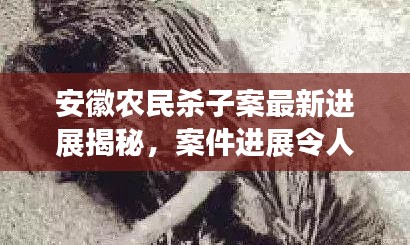 安徽农民杀子案最新进展揭秘，案件进展令人震惊！