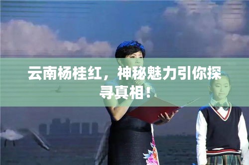 云南杨桂红，神秘魅力引你探寻真相！