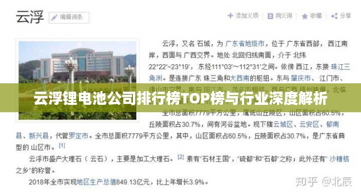 云浮锂电池公司排行榜TOP榜与行业深度解析